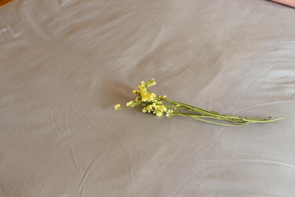 Midsummer Homestay 張家界市 エクステリア 写真